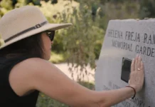 Análises e Dicas #950 – ‘Death By Numbers’