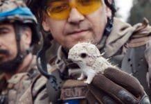 Análises e Dicas #953 – ‘Guerra da Porcelana’