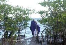 Inscrições abertas para 15 ª Mostra Ecofalante de Cinema