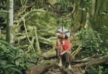 Canal Futura recebe quatro indicações no Prêmio Televisión América Latina (TAL)