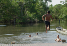 Documentário destaca relevância ambiental dos manguezais do Espírito Santo em nova produção da Bloom Ocean