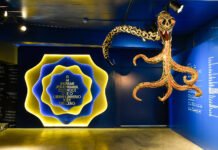 MIS prorroga, até 1º de março, a exposição ‘A alma humana, você e o universo de Jung’