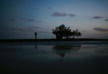 Após exibições na COP30 e Lisboa, filme narrado por Alice Pataxó participa de festival em Londres