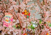 Série inédita do Instituto CPFL estreia neste mês no YouTube e aproxima a cultura chinesa do cotidiano dos brasileiros