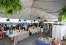 MIS recebe primeira edição do ano da Feira das Ideias, com entrada gratuita