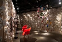 Programação gratuita no MIS traz exibição de filme e bate-papo relacionados à exposição ‘A alma humana, você e o universo de Jung’