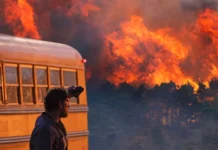 Análises e Dicas #1013 – ‘O Ônibus Perdido’