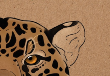 ‘Parditude’ confronta estatísticas e reivindica lugar de fala de pessoas pardas