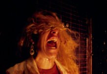 Cinema brasileiro circula por Roterdã com apoio à internacionalização