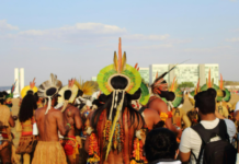 Literatura indígena para crianças: leituras essenciais no Dia Nacional da Luta dos Povos Indígenas