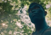 Amazônia sob ameaça: TV Cultura exibe o filme premiado ‘A Última Floresta’