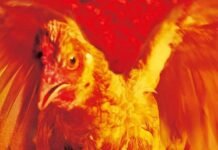 A invenção do real: Curso online promovido pelo CineSesc debate a estética da violência e das periferias no cinema nacional