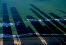 Grátis: Doc.MIS de abril apresenta o filme ‘Um lugar ao sol’, de Gabriel Mascaro