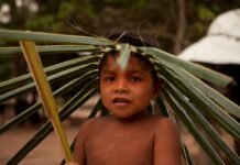 Itaú Cultural Play recebe novas estreias entre filmes clássicos e produções dedicadas ao universo infantil