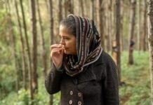 MIS realiza a estreia de dois curtas-metragens do programa Residência Pontos MIS