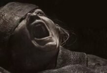 Versão brasileira de ‘Maldição da Múmia’ destaca direção de Marco Ribeiro e traz Fernanda Baronne no elenco