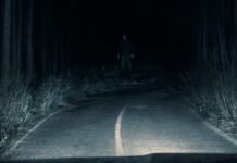 VEJA AQUI! Novo terror da Paramount Pictures, ‘Passageiro do Mal’ ganha primeiro trailer e pôster