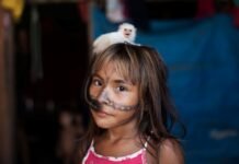 Itaú Cultural Play lança mostra especial com documentários premiados de Eliza Capai