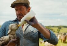 VEJA O TRAILER! Prime Video anuncia estreia de ‘As Ovelhas Detetives’ para esta quarta-feira (24)