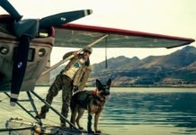 VEJA AQUI! Com Brad Pitt e J.K. Simmons, ‘Coração Selvagem’ ganha primeiro trailer