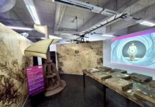 Exposição ‘STEAM XP – Universo Curioso’ chega ao MIS Experience com experiência imersiva no universo do conhecimento e da criatividade