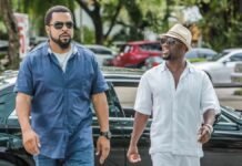 Megapix exibe Programa Duplo ‘Policial em Apuros’ com os dois filmes da franquia