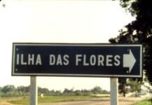 Clássico do cinema brasileiro! ‘Ilha das Flores’ ganha versão restaurada em 4K e estreia no Porta Curtas