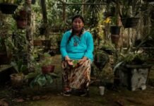 Citronela Doc chega à 6ª edição com premiações inéditas, mostra internacional com o renomado festival FICCI e masterclass