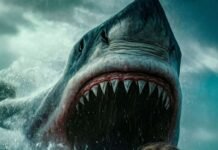 VEJA O TRAILER! Sem CGI, ‘A Maldição do Tubarão’ chega ao Adrenalina Pura+