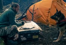 ASSISTA AQUI! Em novo vídeo de bastidor, Brad Pitt apresenta o cachorro Uber, estrela do filme ‘Coração Selvagem’