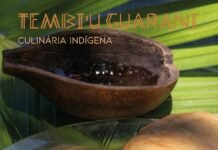 Instituto Família Barrichello lança livro que preserva a culinária e os saberes ancestrais do povo Mbya Guarani