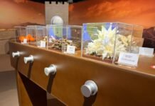 Exposição no Instituto CPFL transforma história em experiência acessível e sensorial