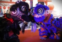 Festival da Lua celebra cultura chinesa com programação gratuita e horário estendido da exposição “A Grande Muralha da China” em Campinas