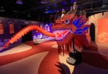 Exposição imersiva sobre “A Grande Muralha da China” é opção de lazer e cultura para o mês das crianças em Campinas