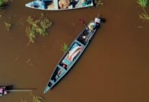 Série documental ‘Ciência Flutuante’, sobre pesquisas na Amazônia, estreia na TV Brasil nesta sexta (30)